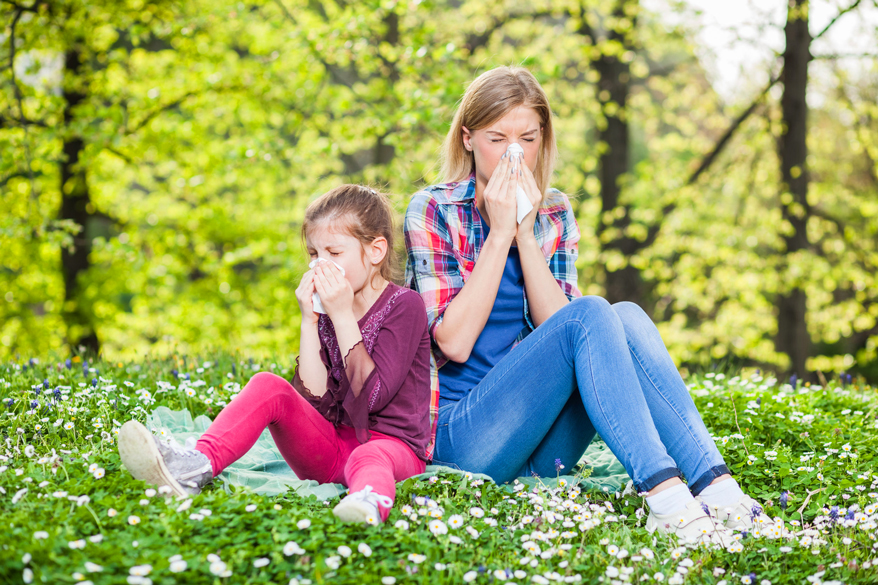 Allergies Are Getting Worse Beyond Health