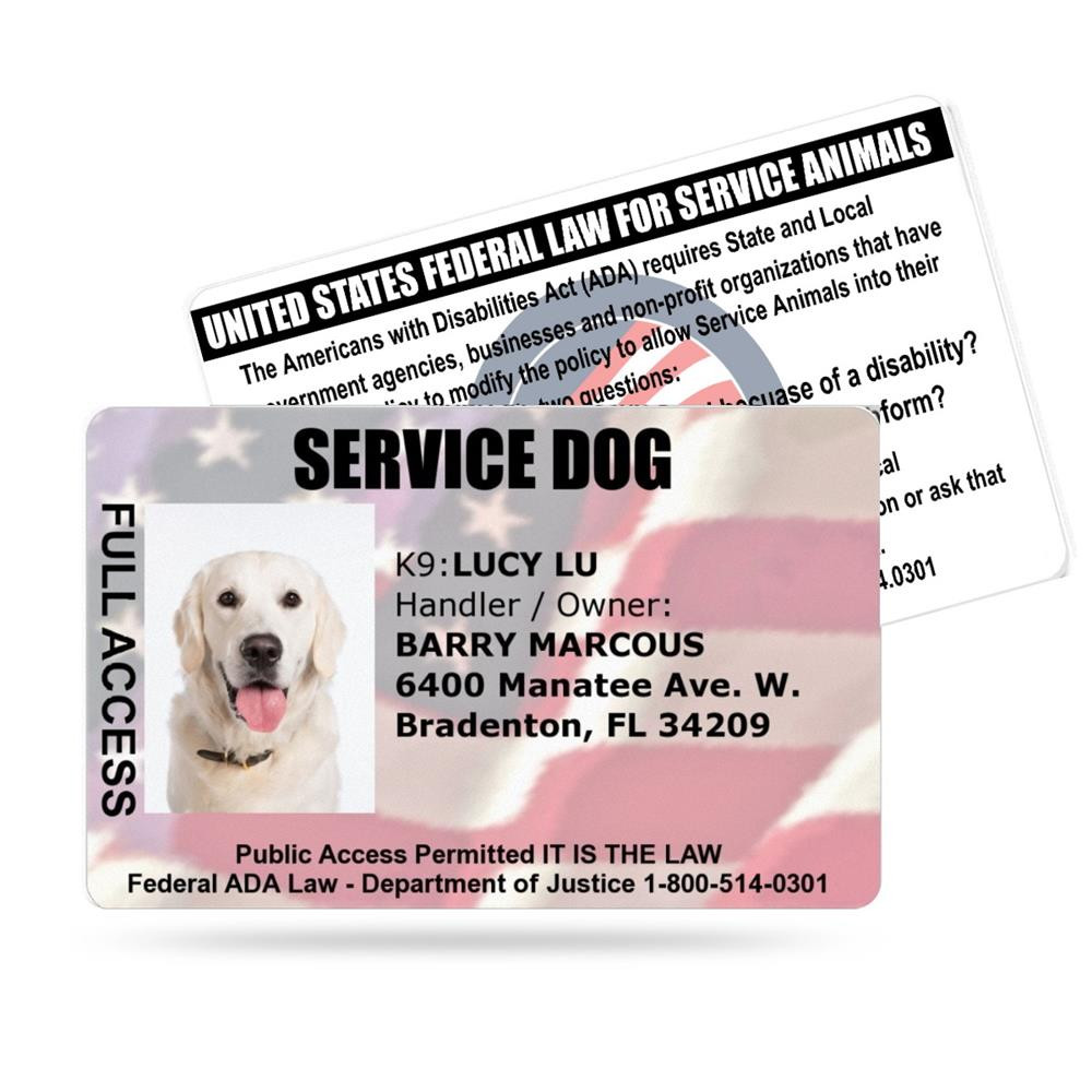 Service Dog Identification Card Patriotic American Flag, Full