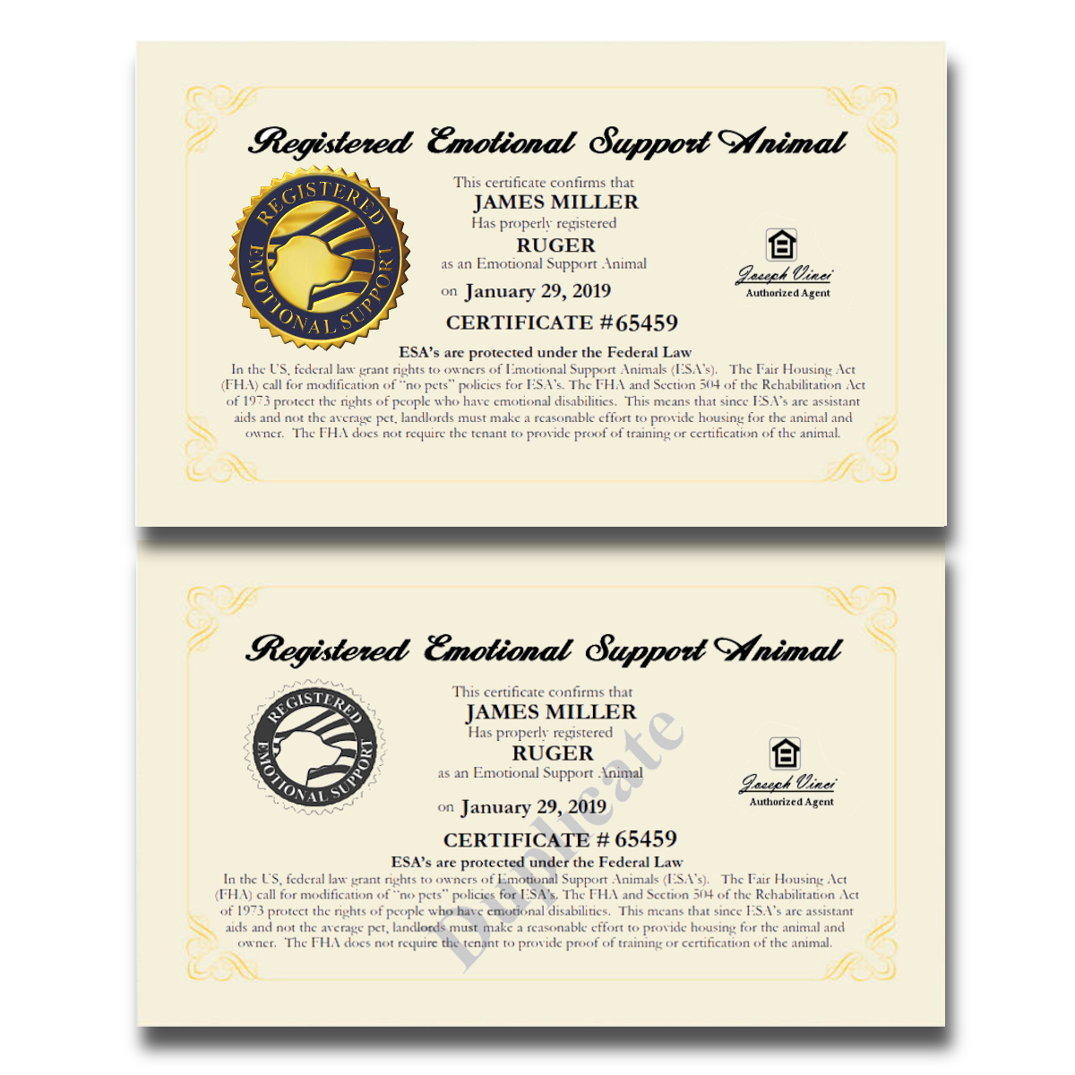 Esa Certified Therapy Animal How To Get My Dog Esa Certified Top