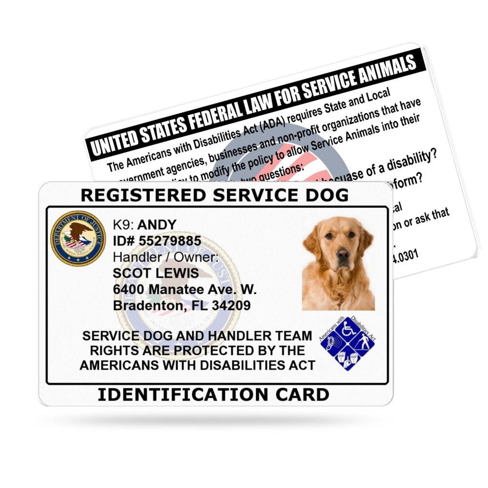 Dog Registration Ada Revised Requirements Service Animals