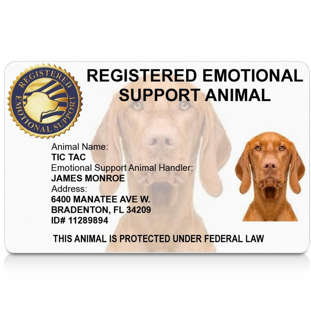 ESA ID Badge with Database Registration – Emotional Support Animal