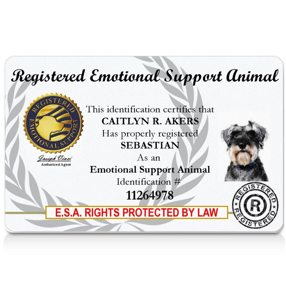 Animal Registrar Ada Emotional Support Dog Registration ESA ID