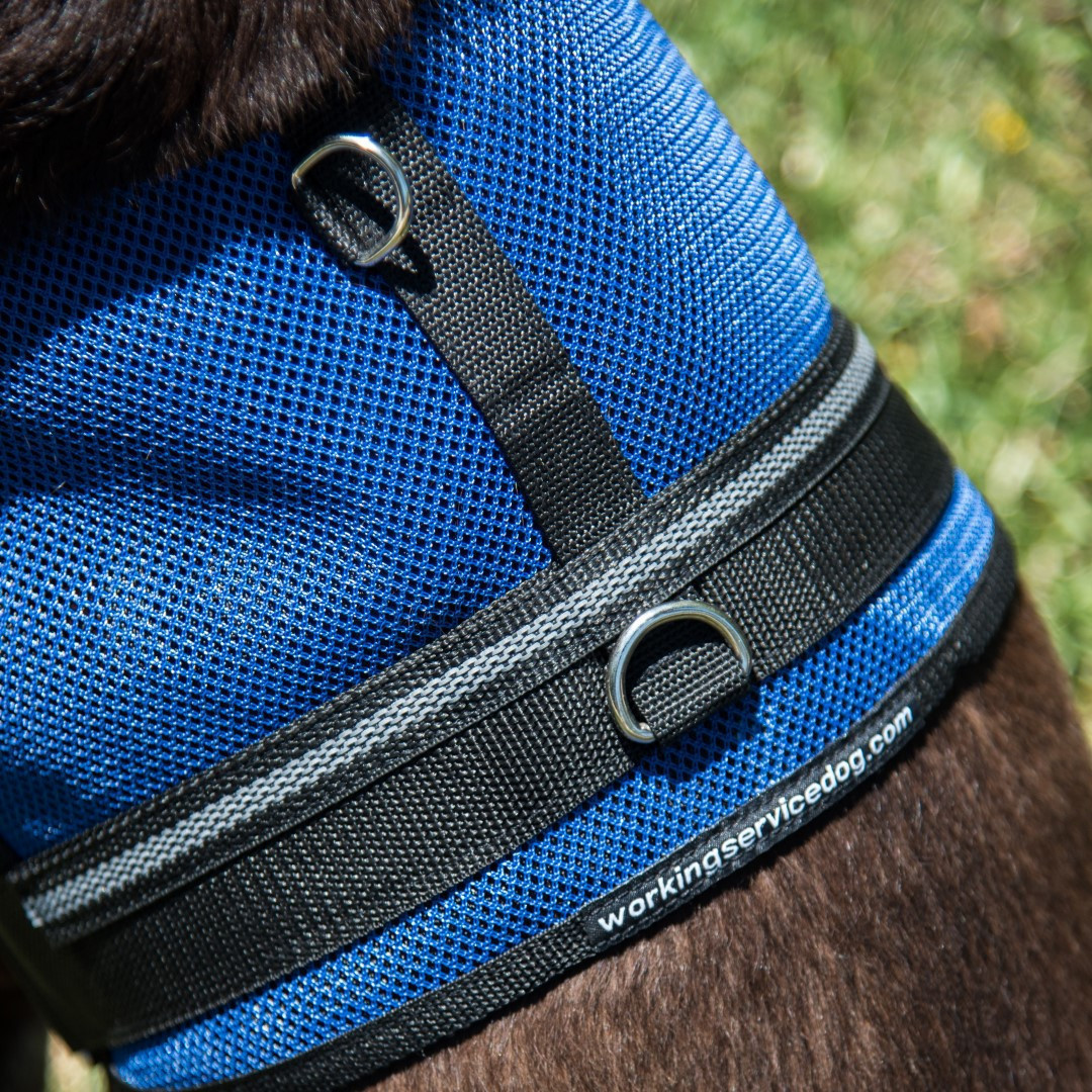 Seizure Alert Hundegeschirr – Reflektierend, Mit Klett-Patches, Brustumfang 28-38 Zoll, In Violett