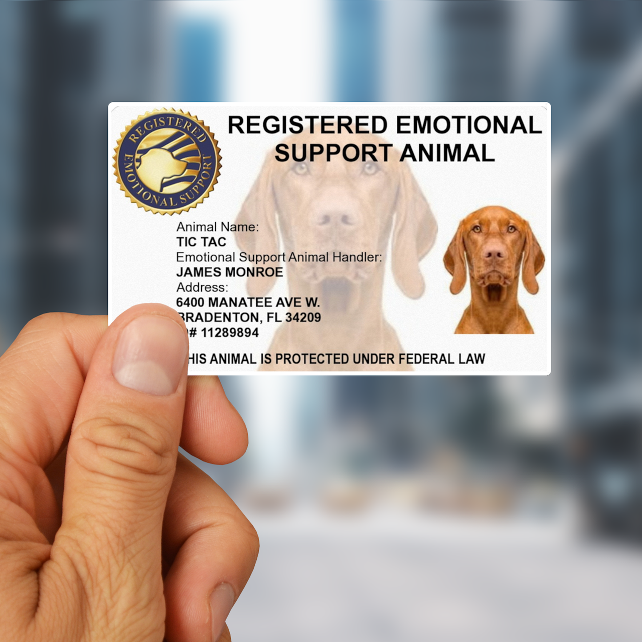 Emotional Support Animal Service Dog Tags Free Premium ESA Kit