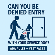 Can You Be Denied Entry with Your Service Dog?