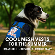 Cool Mesh Service Dog Vests for Summer – Stay Cool