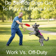 Do Service Dogs Get to Play and Have Fun? – Work vs. Off-Duty