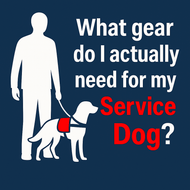 What gear do I actually need for my Service Dog? 