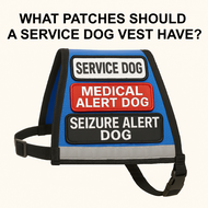 What Patches Should a Service Dog Vest Have? – ADA Guidance & Options