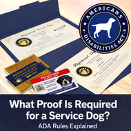 What Proof Is Required for a Service Dog? ADA Rules Explained Clearly