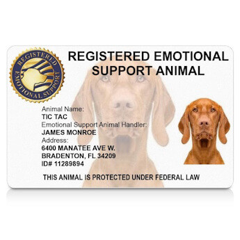 Registered Emotional Support Animal ID Badge