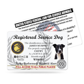 Registered Service Dog ID Card
