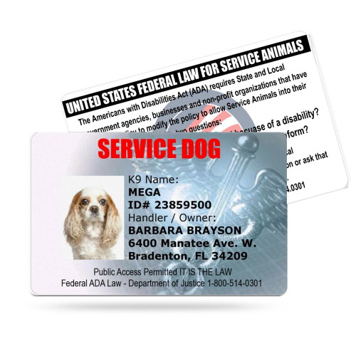 Service Dog Identification Badge  Bold Caduceus Design for Public Access