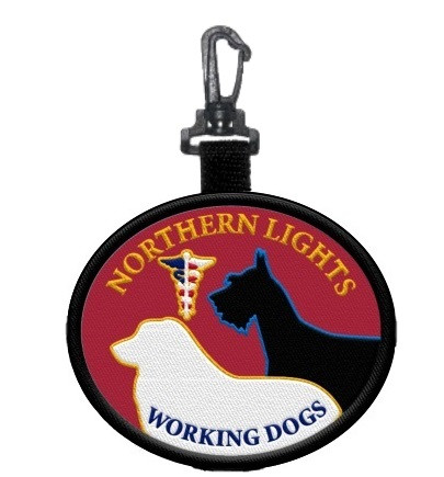 Northern Lights Hanging Patch Clip [Code Req]