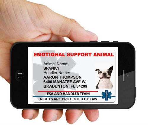 Emotional Support Animal Digital ID  Mobile ESA Identification for Smartphones