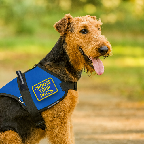 Custom Padded Service Dog Vest – Includes Free Patch of Your Choice