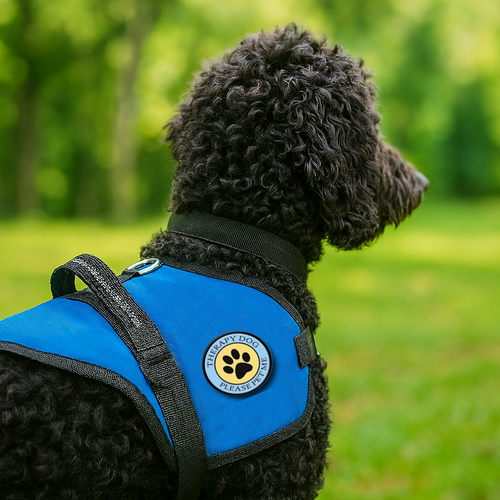 Padded Therapy Dog Vest with “Please Pet Me” Paw Print Patch & ID Badge Holder