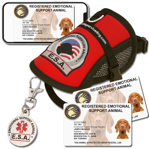 Deluxe Emotional Support  ESA Kit with premium  vest, two duplicate ID, and digital ID card