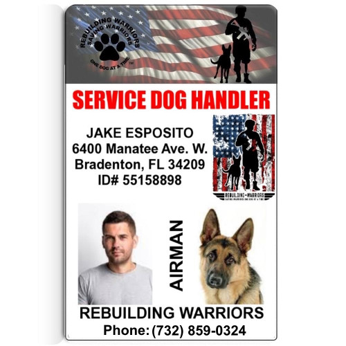 Rebuilding Warriors Custom ID