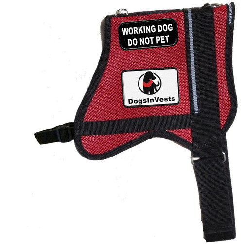 Dogs In Vests - Official In Training Mesh Vest