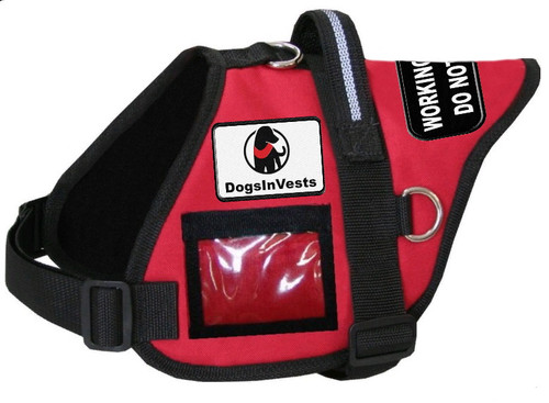 Dogs In Vests - Official Autism Padded Vest
