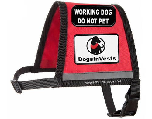Dogs In Vests - Official Autism Zipper Vest