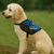 Service Dog "In Training" Identification Patch Tag - Clip On & Off - ADA Messaging