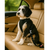 Dog Seat Belt Restraint – Adjustable Harness Attachment for Cars
