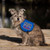 Seizure Alert Dog – Full Access Patch – 3"x3" Sew-On Medical ID Patch on a service dog