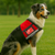 Full Access  Large Service Dog Vest with Exclusive Patch, ID Badge and Zipper Pocket