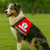 Premium Small Service Dog Vest - with Premium Patch and Zipper Pocket