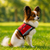 Therapy Dog Vest for Small Dogs with Paw Print Patch – Reflective, Breathable & Colorful