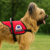 Premium Therapy Dog Padded Vest with Metallic Patch & ID Badge Holder