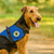 Padded Emotional Support Dog Vest with Paw Print Patch & Built-In ID Badge Holder