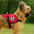 Padded Therapy Dog Vest with “Please Pet Me” Paw Print Patch & ID Badge Holder