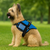 Padded PTSD Service Dog Vest with “PTSD Dog” Caduceus Patch & Built-In ID Badge Holder