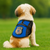 Small dog from back wearing blue mesh registered service dog vest with “Full Access” patch