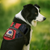 Premium Therapy Dog Mesh Lite Vest for Small Dogs