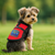 Registered SERVICE DOG IN TRAINING Kit – Includes Free Registration