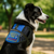 Registered SERVICE DOG IN TRAINING Kit – Includes Free Registration