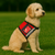 dog wearing a Zipper Pocket  Service Dog Vest