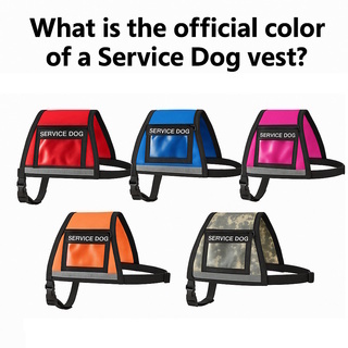 What is the Official Color of a Service Dog Vest?