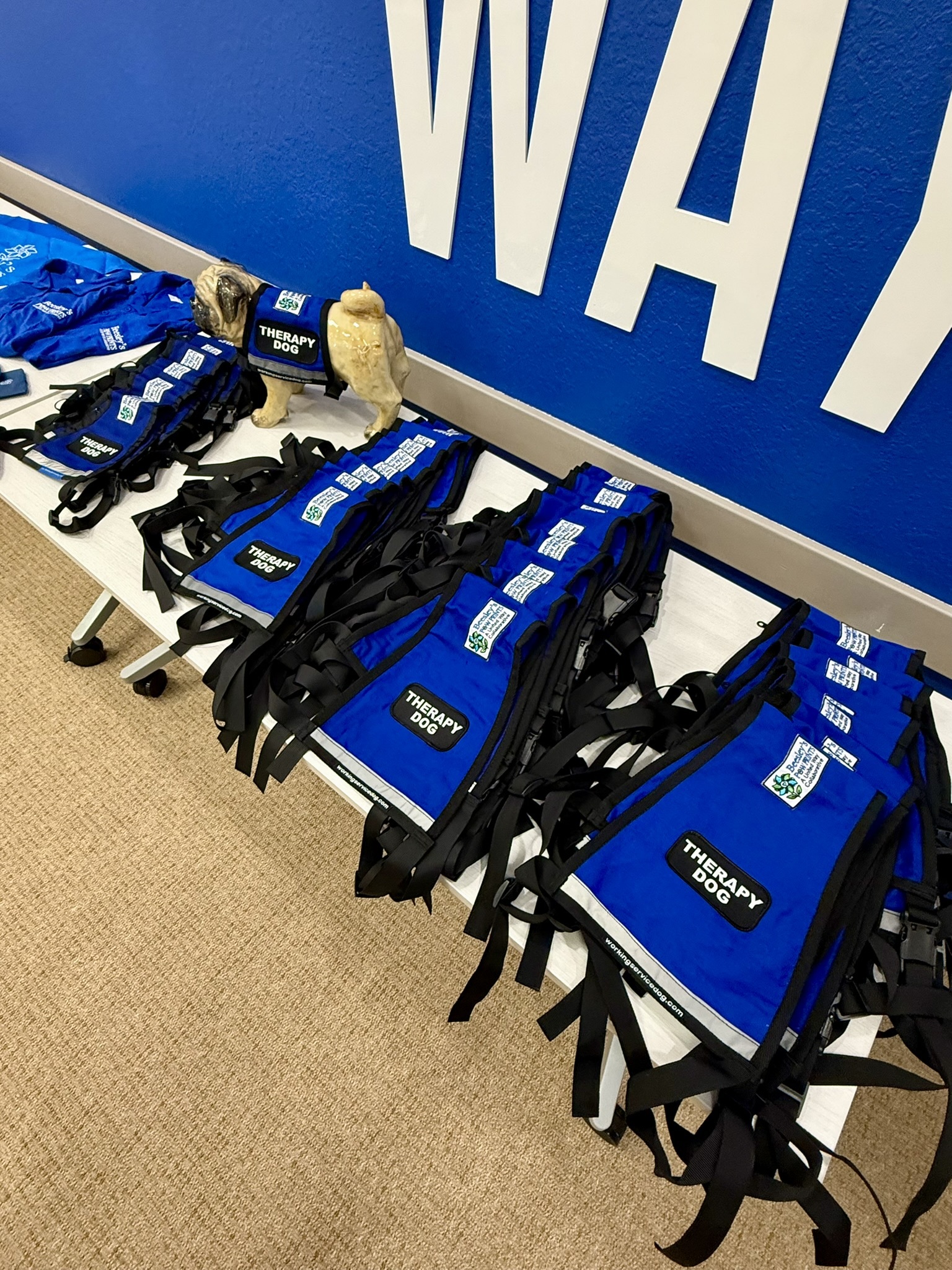 Custom therapy dog vests displayed at volunteer appreciation event