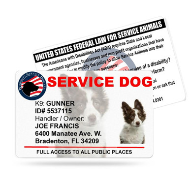 free printable service service dog tags free