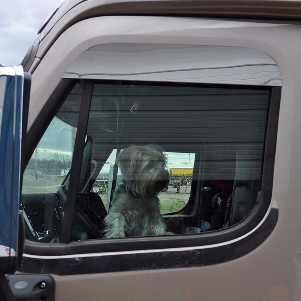 Freightliner CASCADIA  "Lowered Look" WINDOW PANEL (SET) CHROME