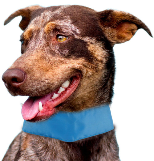 Pet Life Summer-Cooling' Insert Able And Adjustable Cooling Ice Pack Dog Neck Wrap
