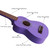 Soprano Ukulele Purple 21 inch High Gloss Basswood Mini Kids Guitar Hawaiian Ukeleles Instrument Kit with Ukalalee Bag Tuner Pack Book for Beginner Toddler Starter Adults