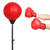 Boxing Adjustable Free Standing Punch Ball Adult Punching Speedball Gym Bag