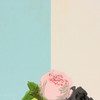 1950s Vintage Wallpaper Pink Black Rose Black Ribbon