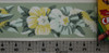 Trimz Vintage Wallpaper Border Floral Trim